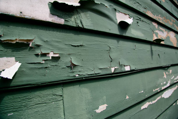 Storm Damage Siding Repair in Clayton, NC